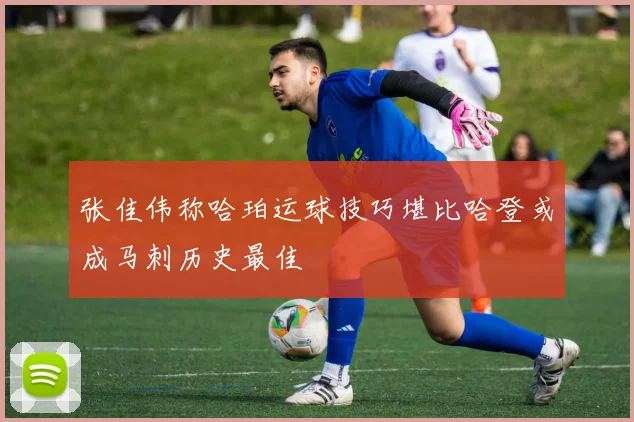 张佳伟称哈珀运球技巧堪比哈登或成马刺历史最佳